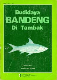 Budidaya bandeng di tambak