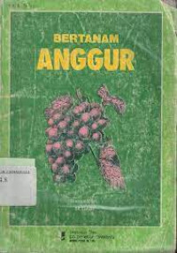 Bertanam Anggur